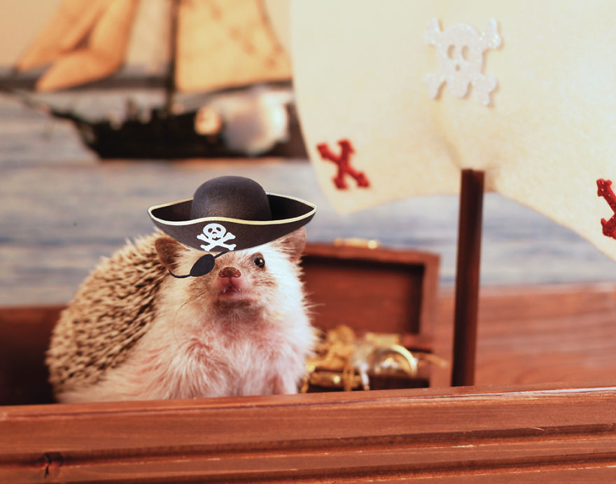 Die Abenteuer des Humphrey J Hedgehog